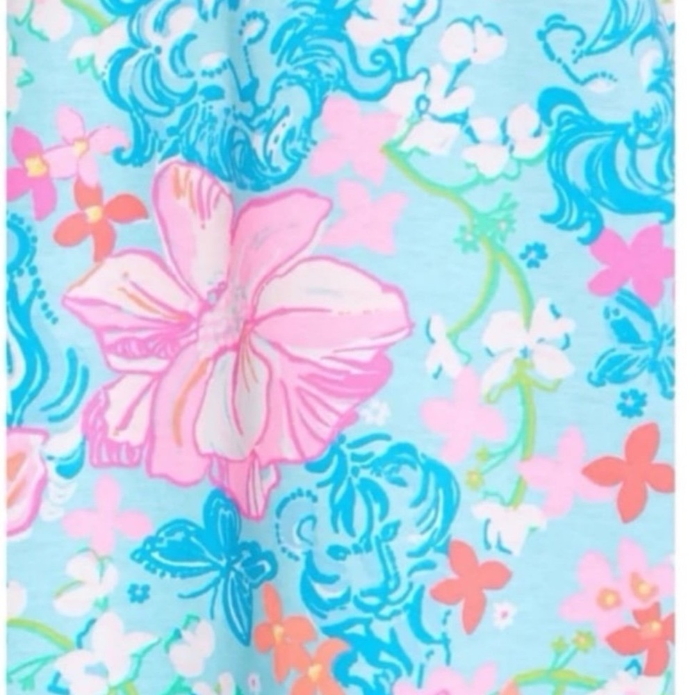 Lilly Pulitzer Alessa Swing Dress - Picture 5 of 6